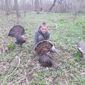 Meet your Posher, Lyle